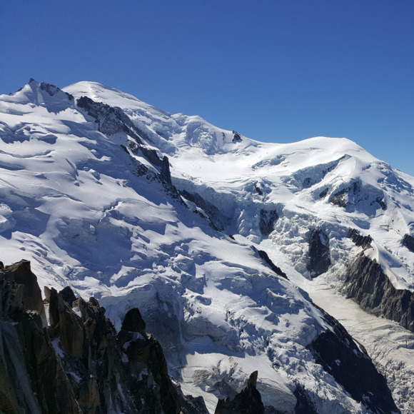 Meet your Posher, Katie - Picture 1 of 1